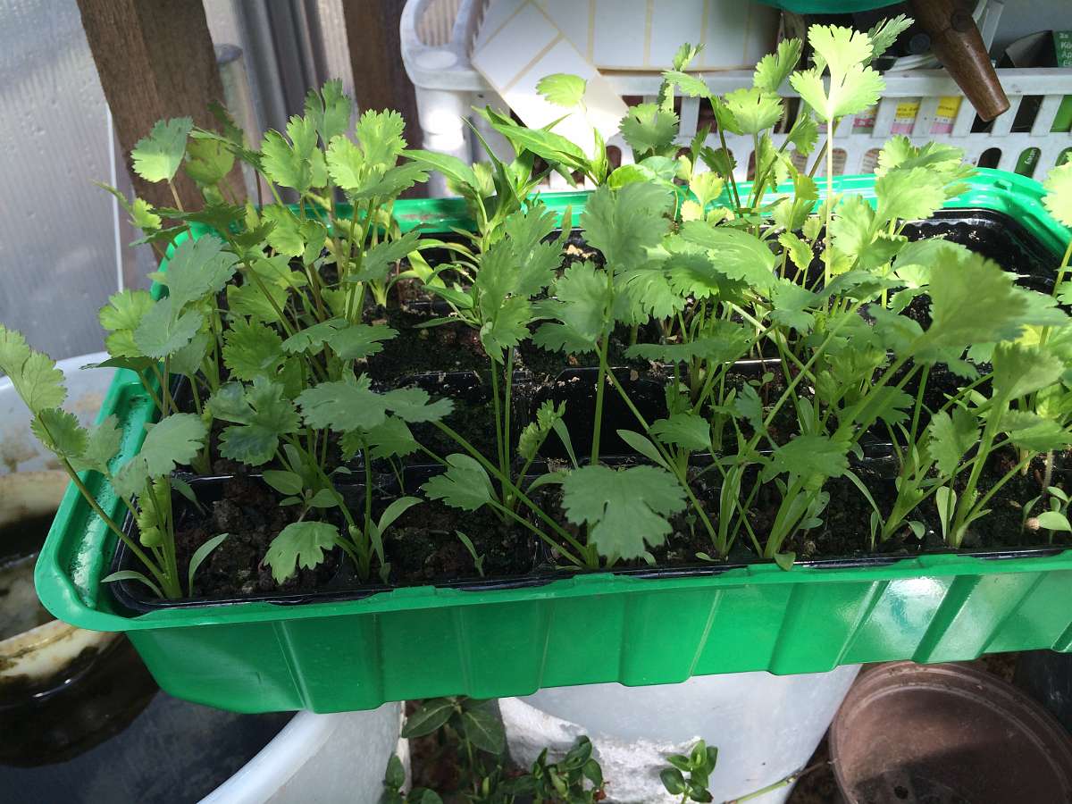 2014-04-23 10-01-28.JPG